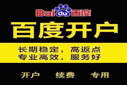 信息流广告成功案例分析